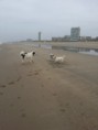 /album/fotogalerij/a20131203-130203-jpg/